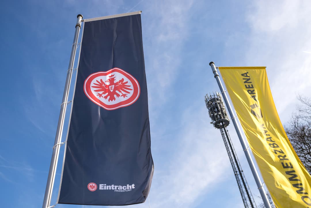 descripción de imagen