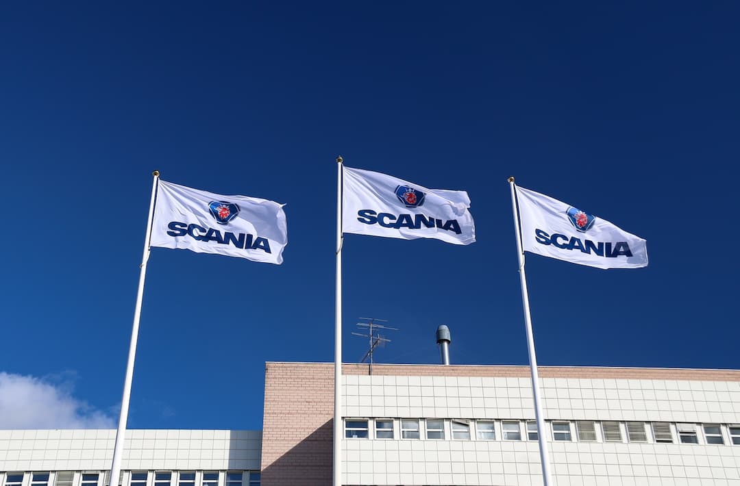 descripción de imagen