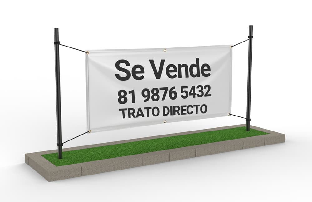 descripción de imagen