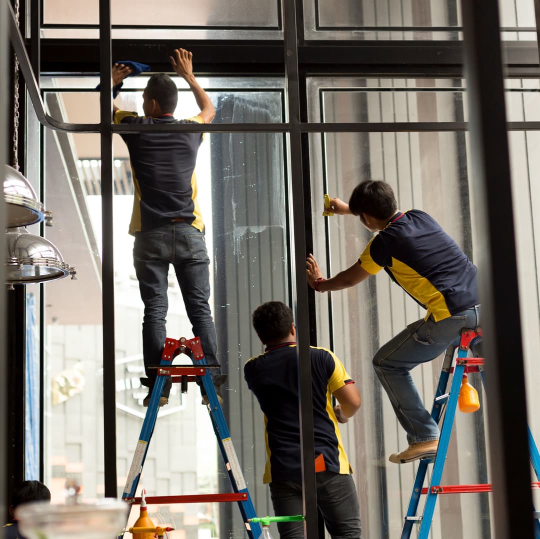 descripción de imagen